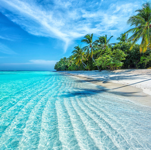 GOA